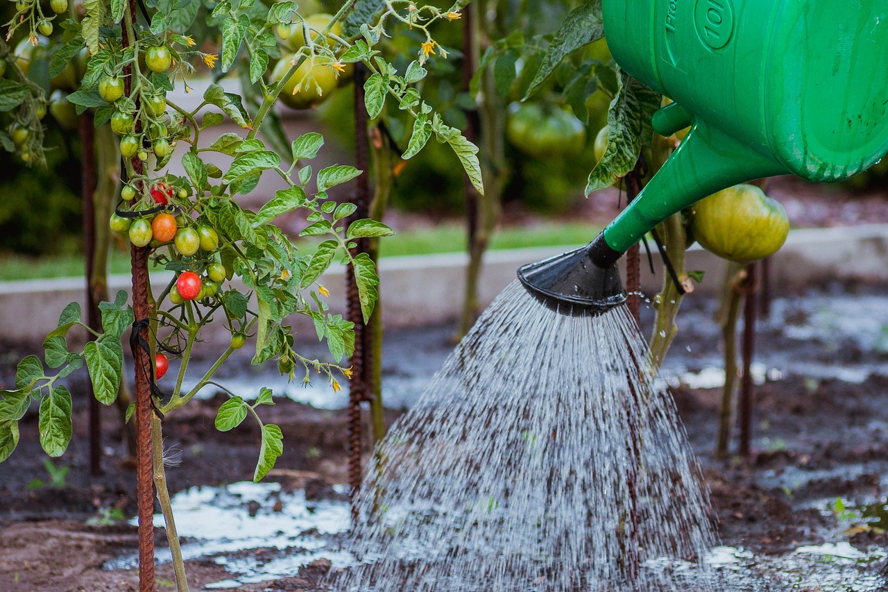 Jardín preparado con drenaje adecuado para lluvias intensas, evitando encharcamientos.